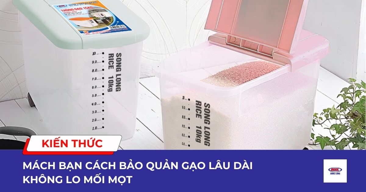 Mách bạn cách bảo quản gạo lâu dài, không lo mối mọt